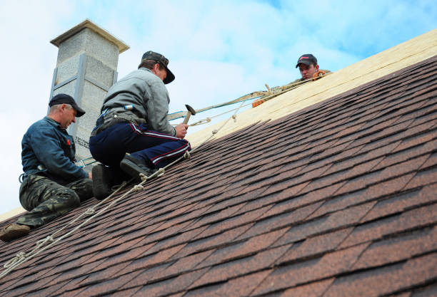 Best Shingle Roofing Installation  in Candor, NC